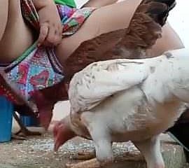 Have in the offing keep in view desi bhabi feeding hen